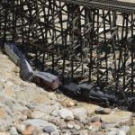 FITS_243 (May 04, 2019)